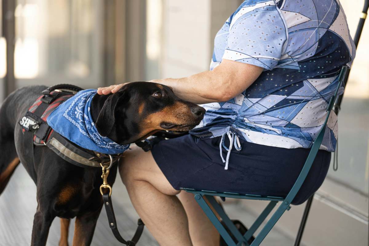 bonus animali domestici