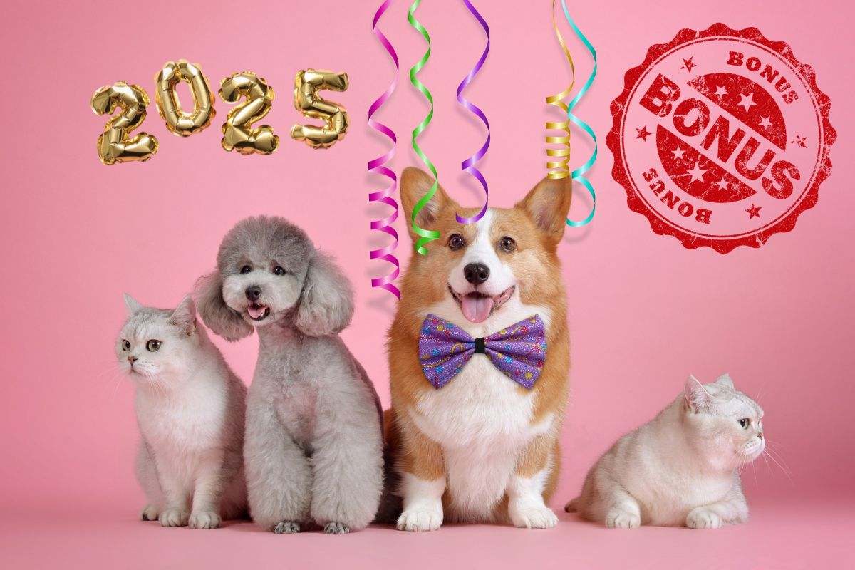 Bonus animali domestici 2025