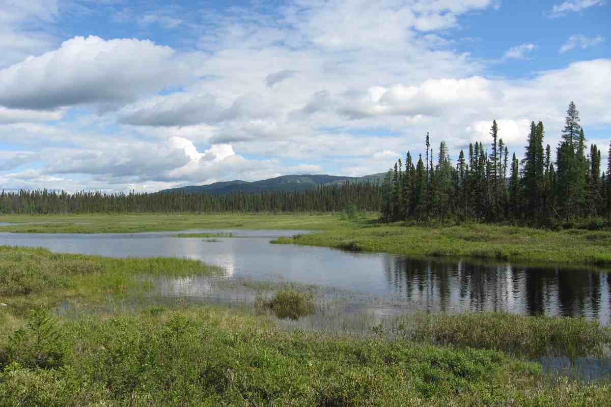 Rene-Levasseur island