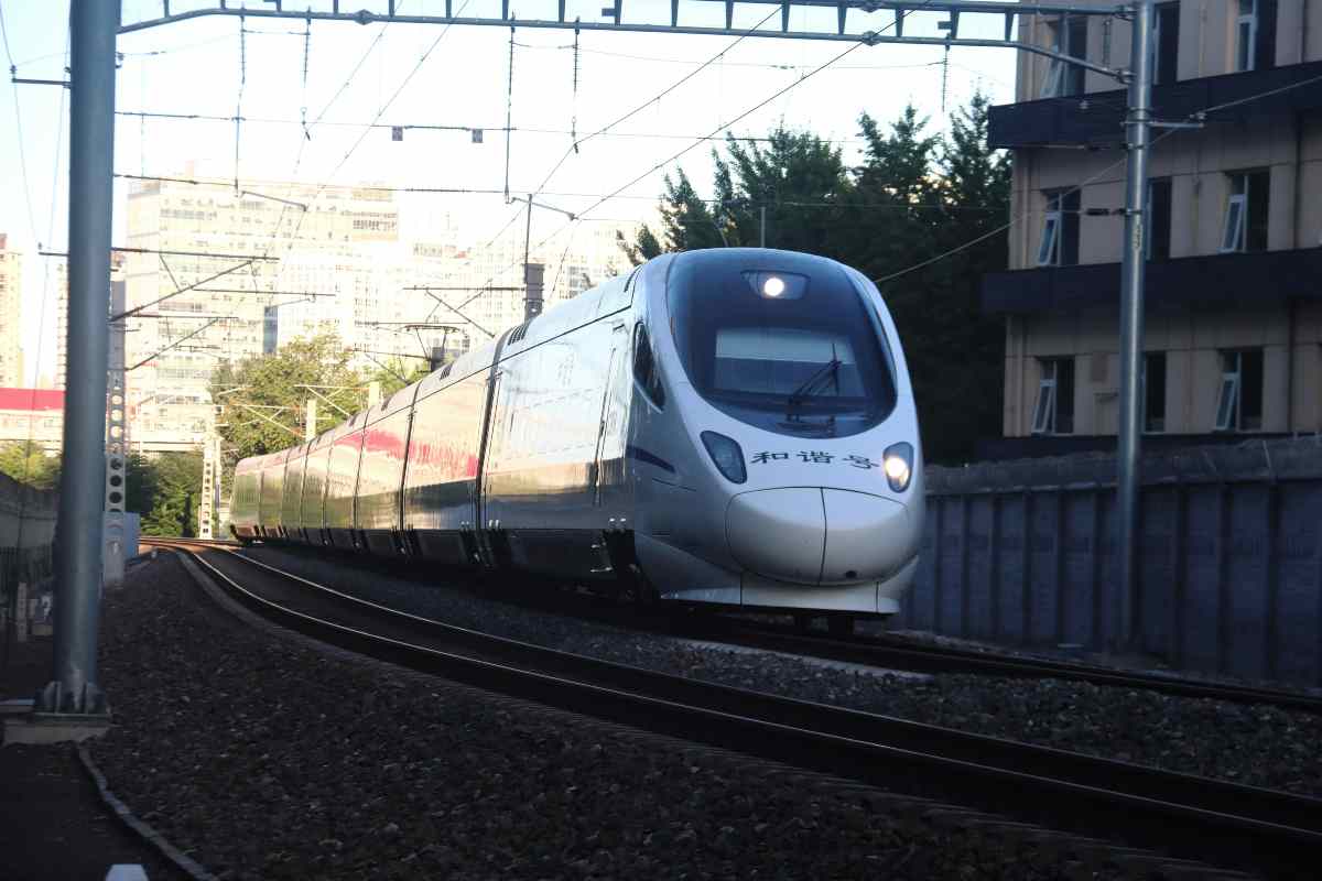 Sta tornando di moda il treno