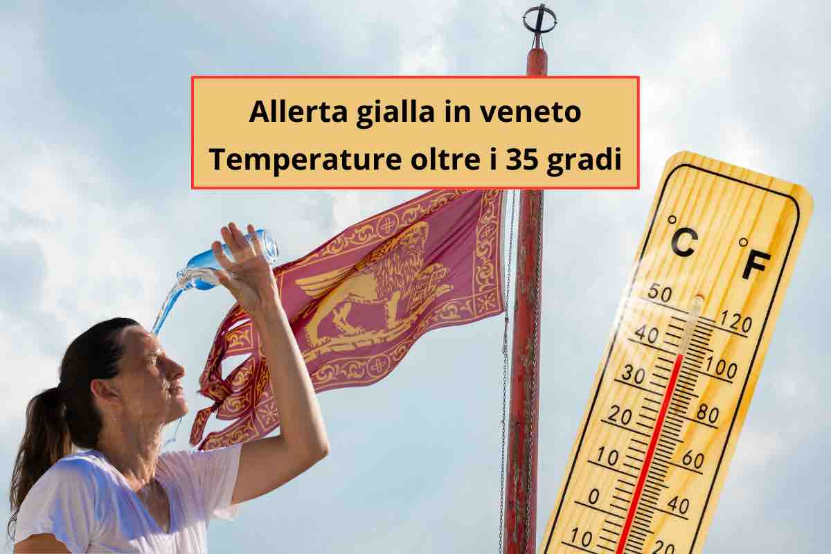 Allerta